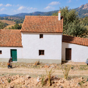 Camino Viejo